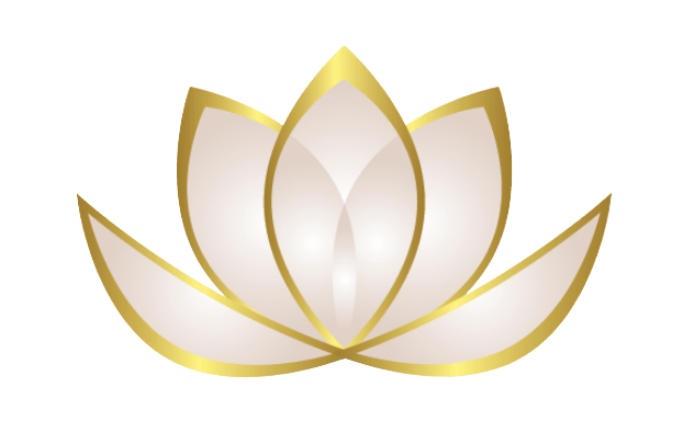 V10 Zen Web Media